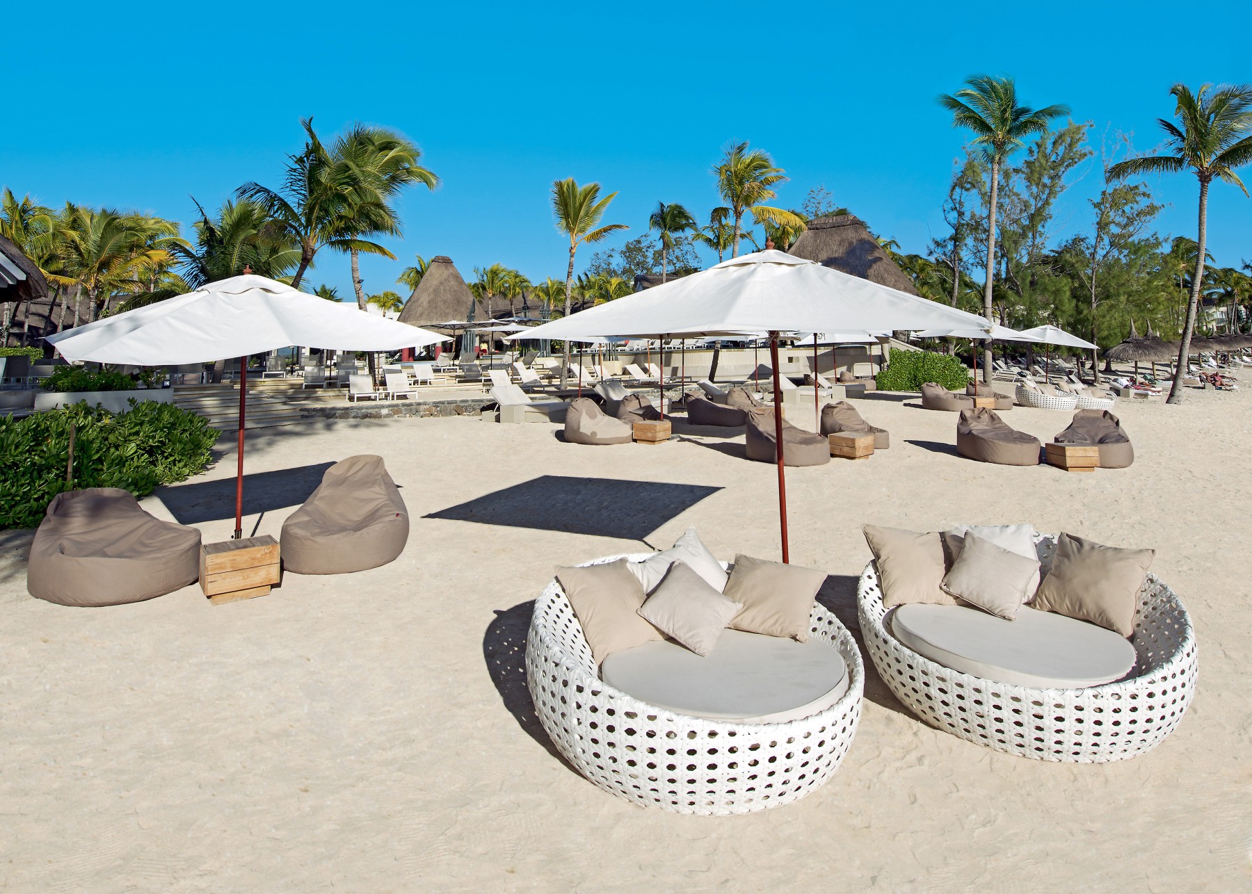 Ambre Mauritius